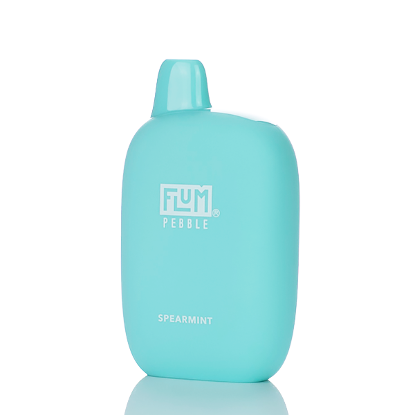 Flum Pebble 6000 Puffs Rechargeable Disposable Vape