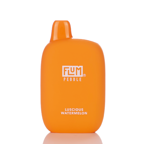 Flum Pebble 6000 Puffs Rechargeable Disposable Vape